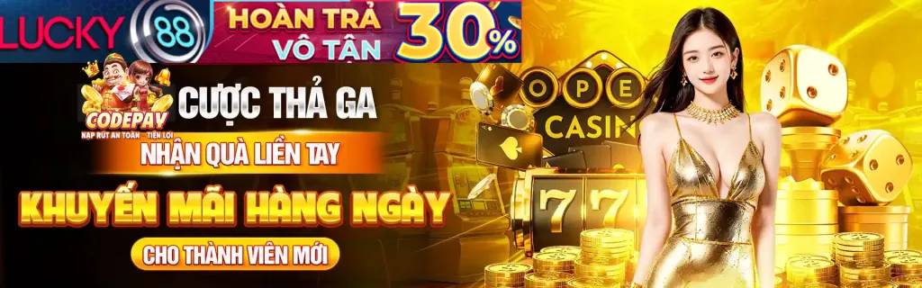 Hoàn trả c54 chính thức